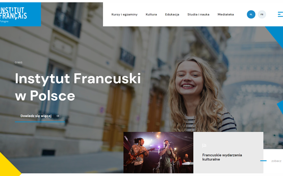 Instytu francuski