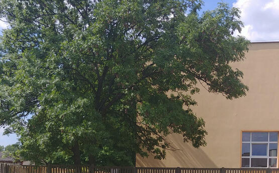 20210602 100530 hdr
