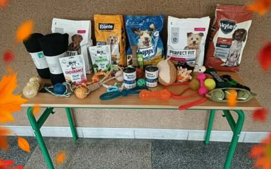 572071954 1341922594389577 3056557130576372247 n